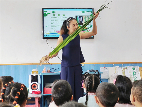 识菖蒲