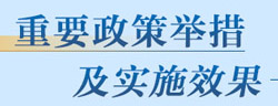 重要政策举措及实施效果