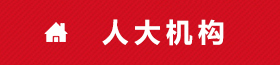 人大概况